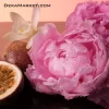 اسانس عطر ویکتوریا سکرت بامب شل ادو پرفیوم (بامشل)
