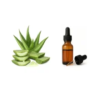 اسانس پایه عطر سازی آلوئه‌ورا
